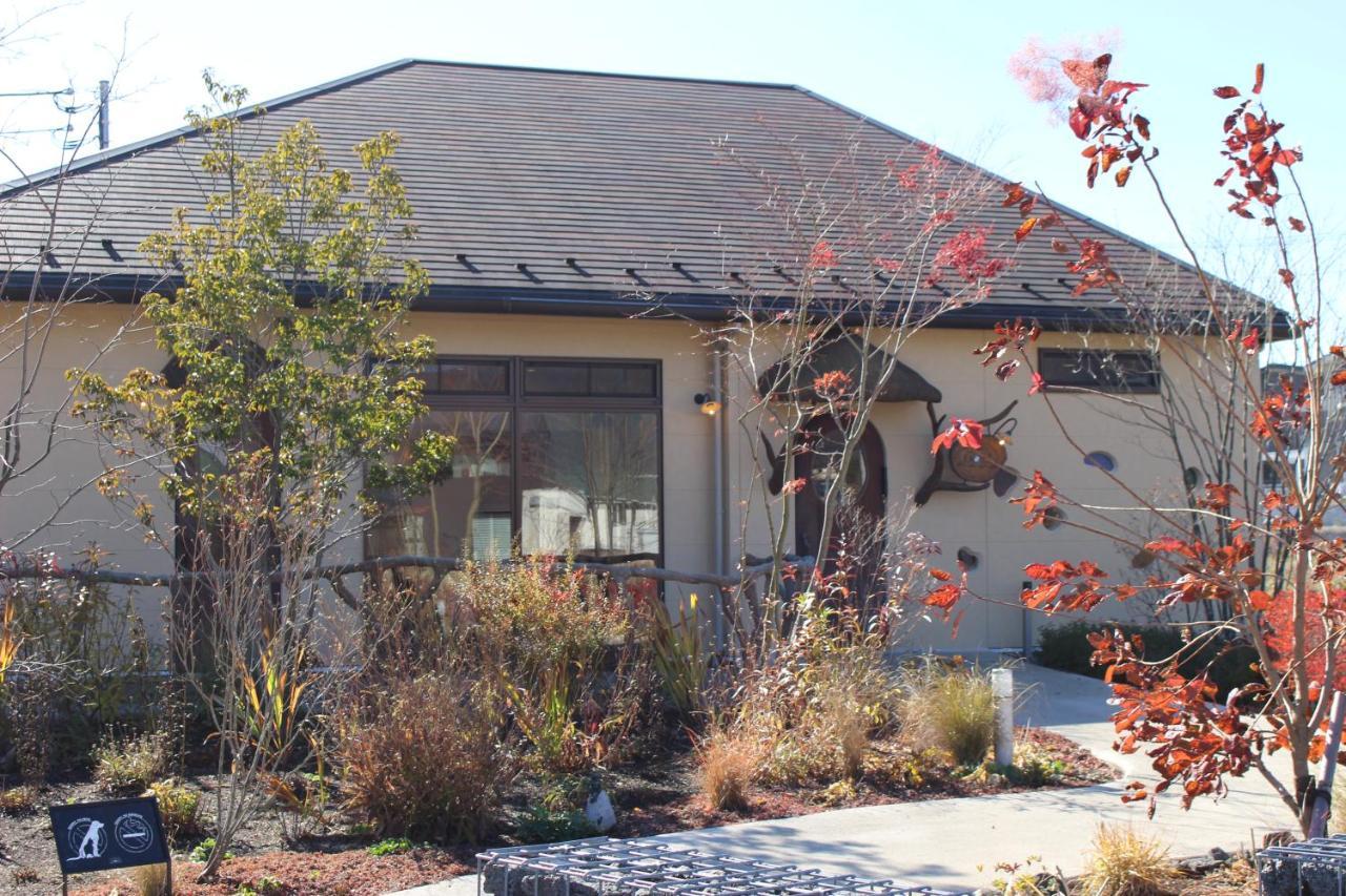 Moonlightvilla 河口湖大橋 Fujikawaguchiko Exterior foto